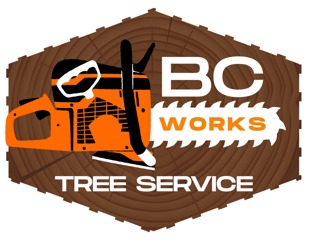 BC Works: Outside Services