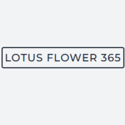 Lotus Flower 365