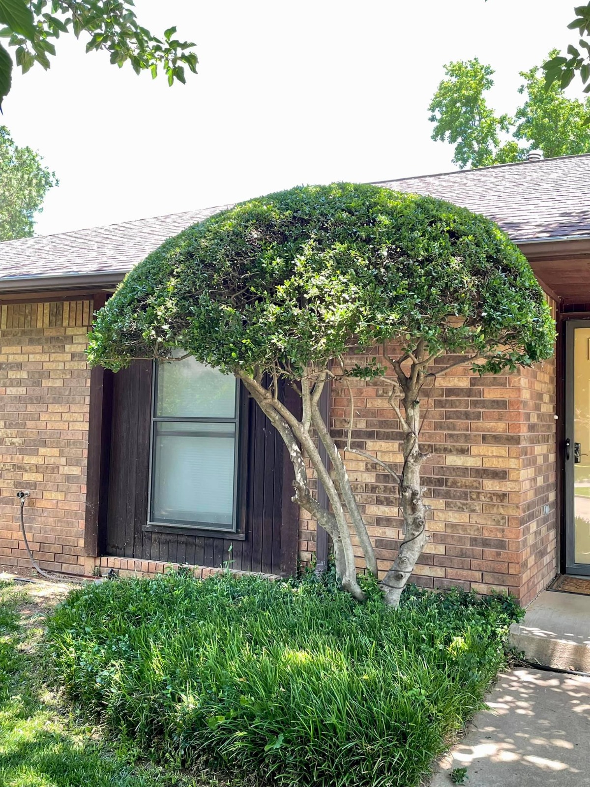 Golden Oak Lawn & Landscaping