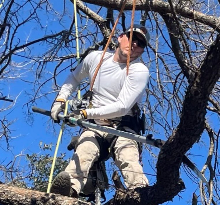Trimming Texas