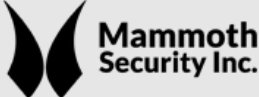 Mammoth Security Inc. Bridgeport