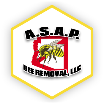 A.S.A.P. Bee Removal, LLC