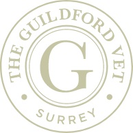 The Guildford Vet