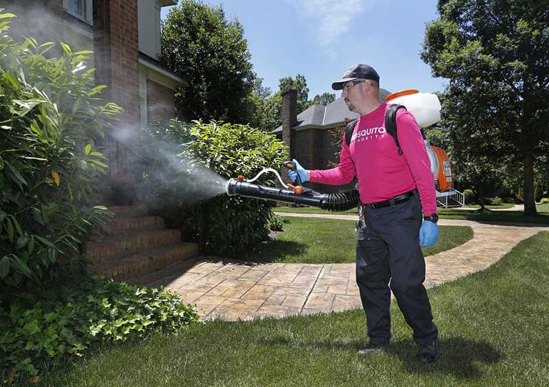 Mosquito Control in Cranston, RI