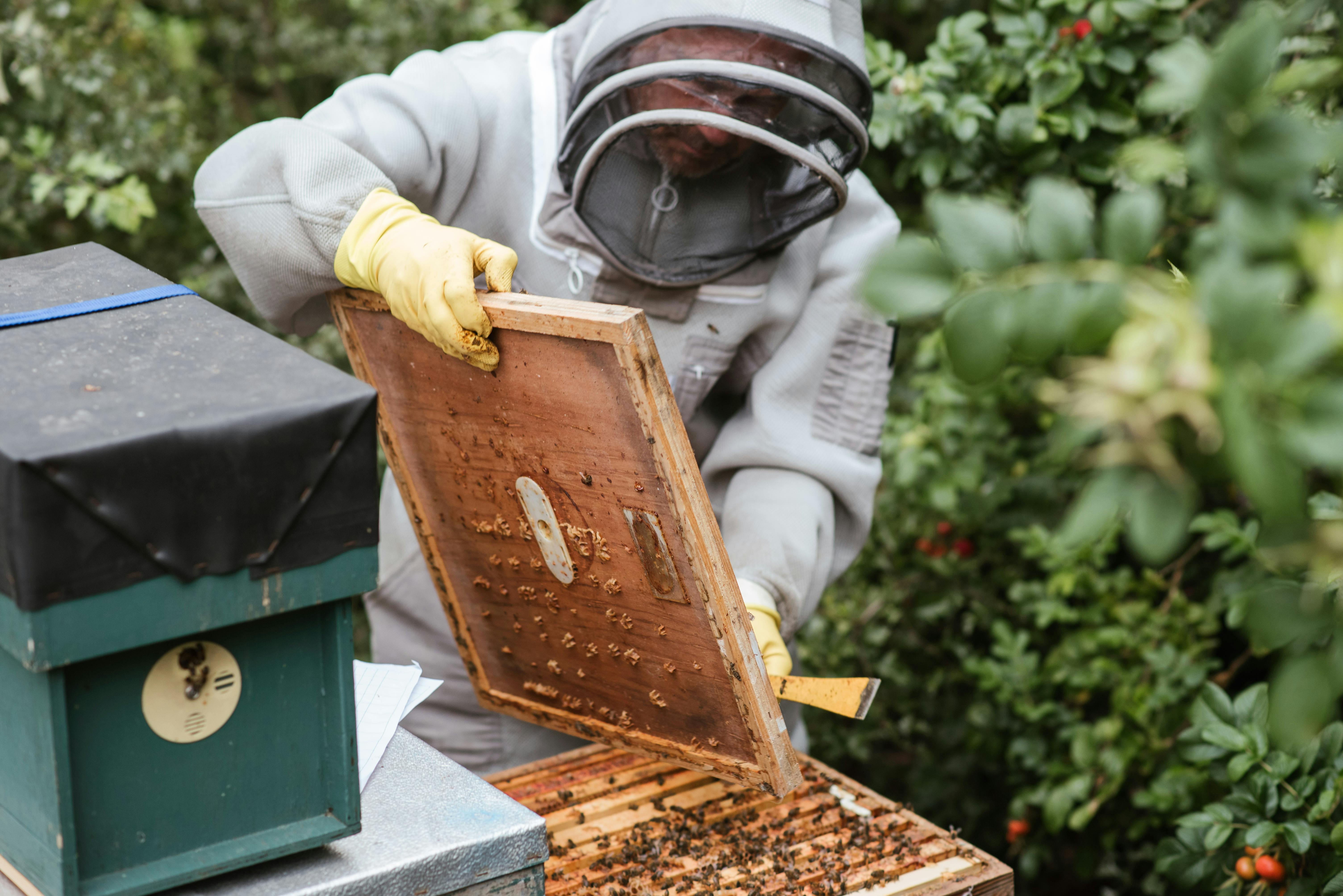 Ultimate Pest Solutions