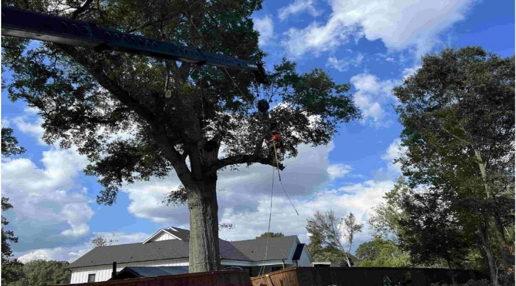 Good Neighbor Tree Service