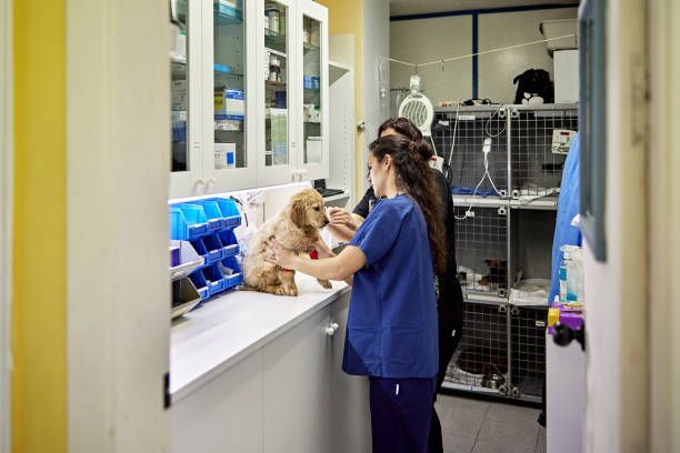 Five Rivers Pet Emergency Hospital