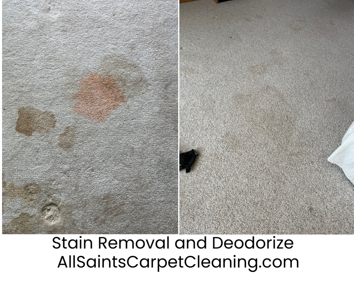 All Saints Carpet Cleaning LLC