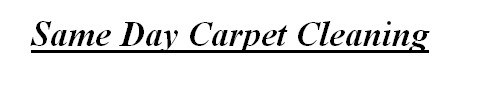 Same Day Carpet Cleaning