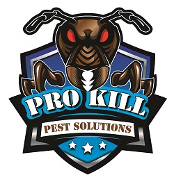 ProKill Pest Solutions