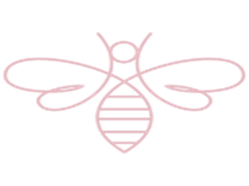 Humblebee Wedding Films