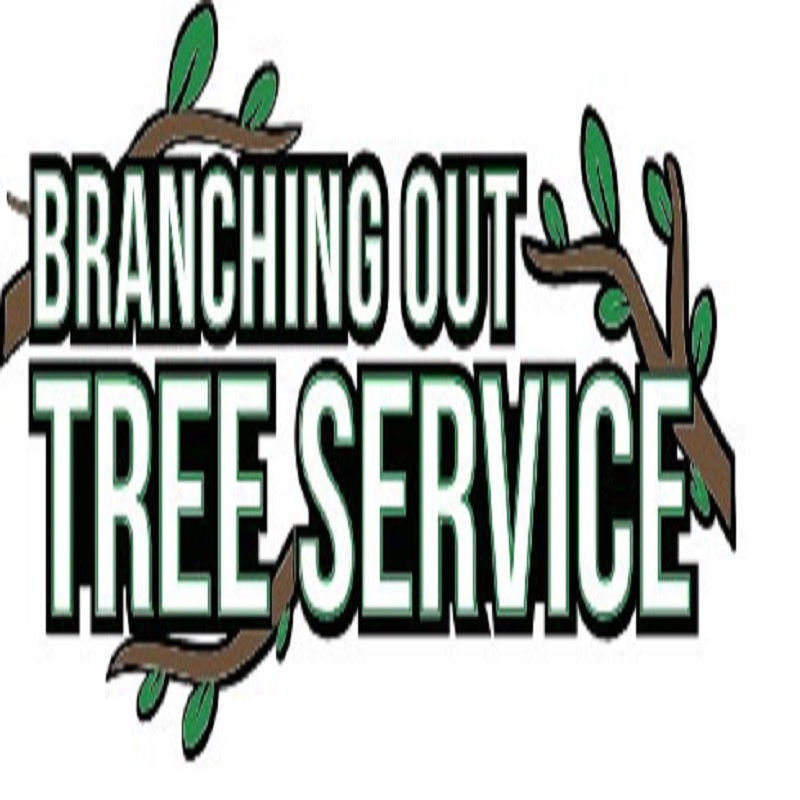 All Island Tree Service & Removal Suffolk County