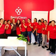 Berry Clean