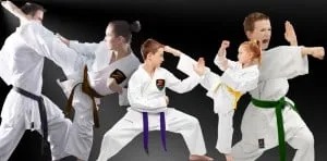 Z-Ultimate Self Defense Studios