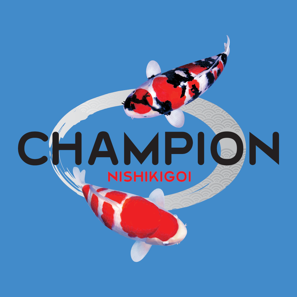 Champion Nishikigoi