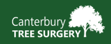 Canterbury Tree Surgery - Tree Surgeons in Kent
