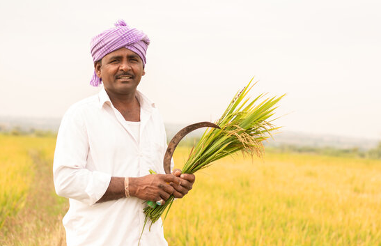 Bandya Mama : The Sugarcane King