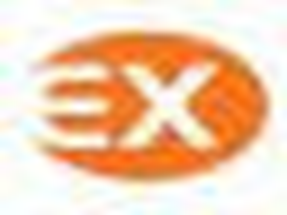 GuardEX Security Services