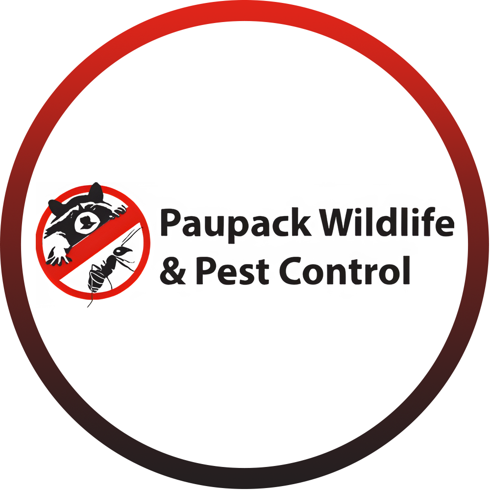 Paupack Wildlife and Pest Control