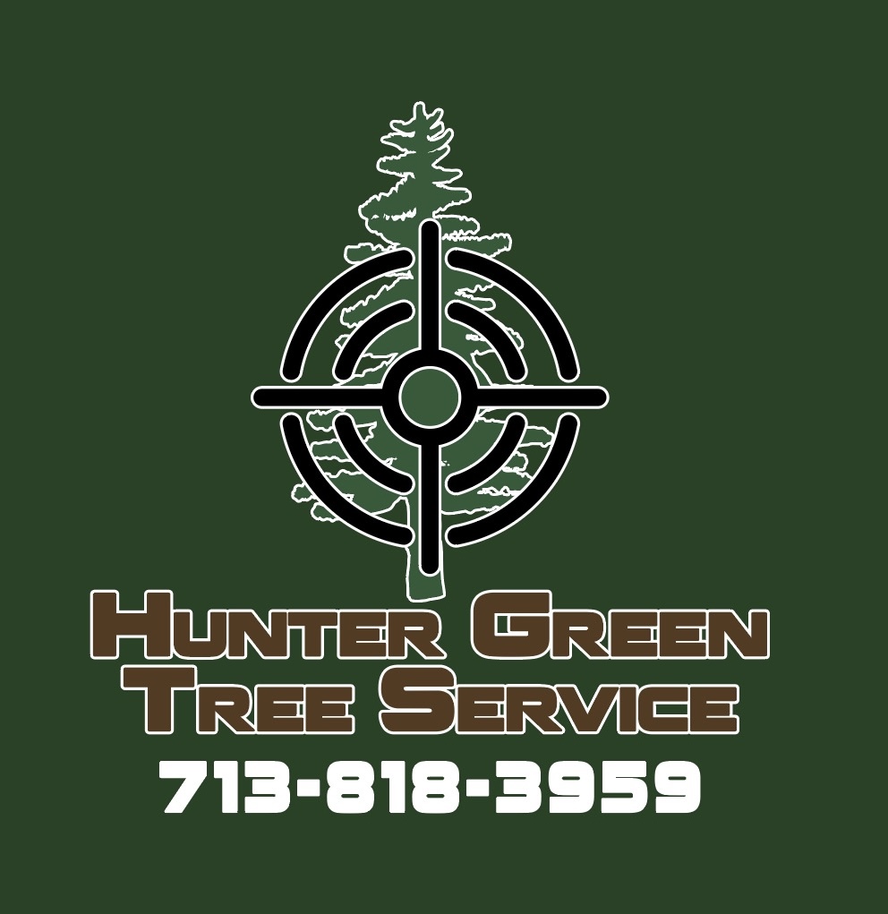 Hunter Green Tree Service