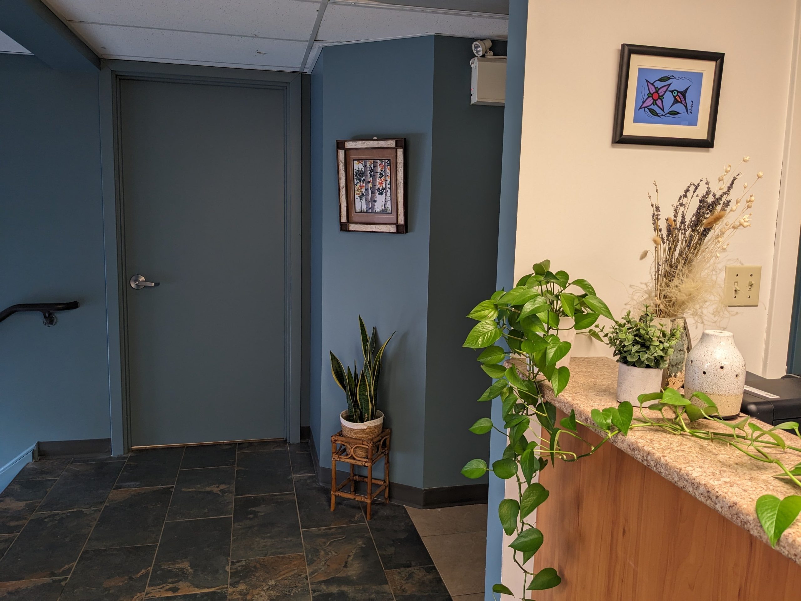 Field Trip Health | Thunder Bay | Ketamine Therapy