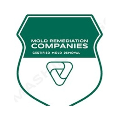 West Bloomfield Mold Remediation Pros