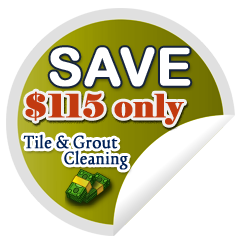Tile & Grout Cleaning New Territory TX