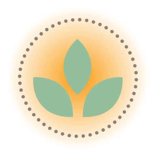 Desert Willow Wellness