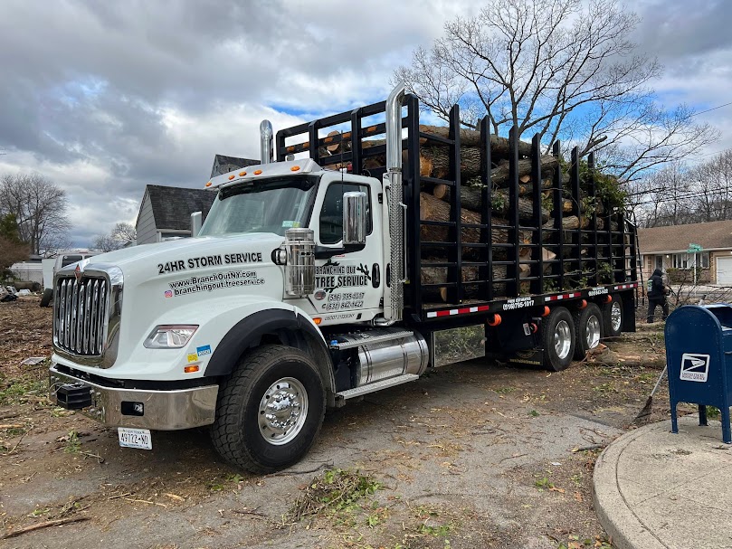 Metropolitan Tree Experts