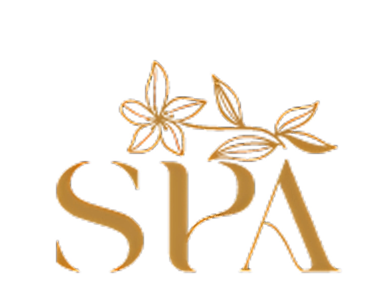 Spa Chevy Chase
