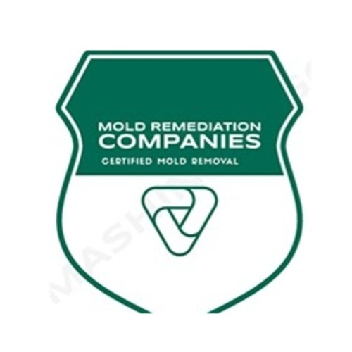 Coeur d’Alene Mold Remediation Pros