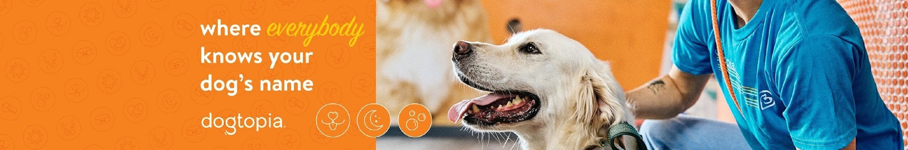 Dogtopia of Orlando- Winter Park