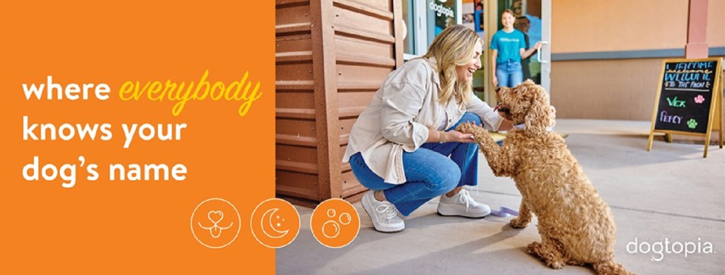 Dogtopia of Paradise Valley Village