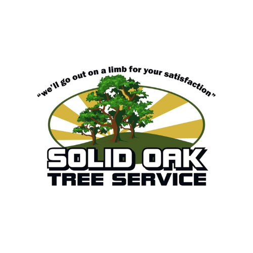 Solid Oak Tree Service