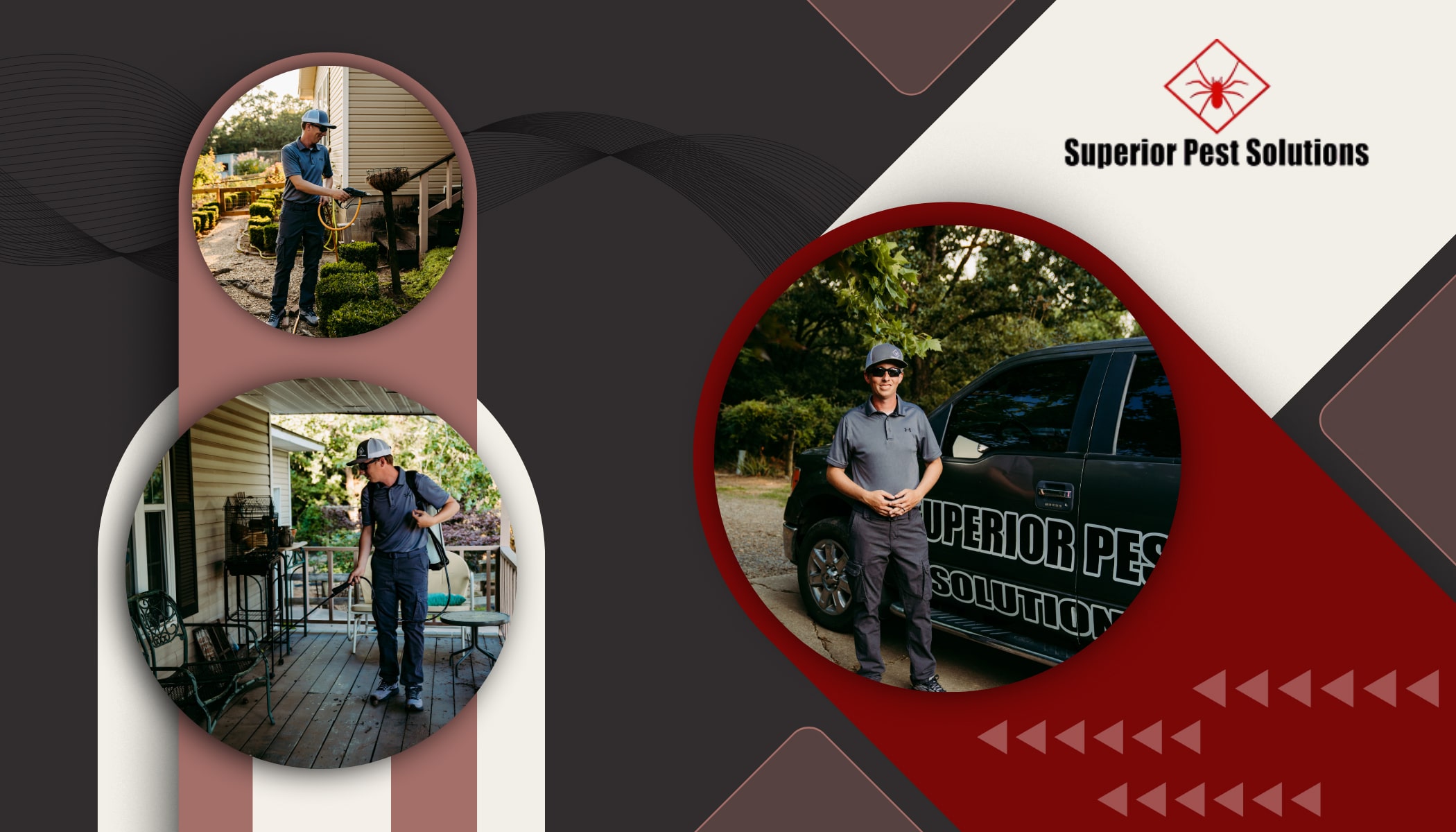 Superior Pest Solutions