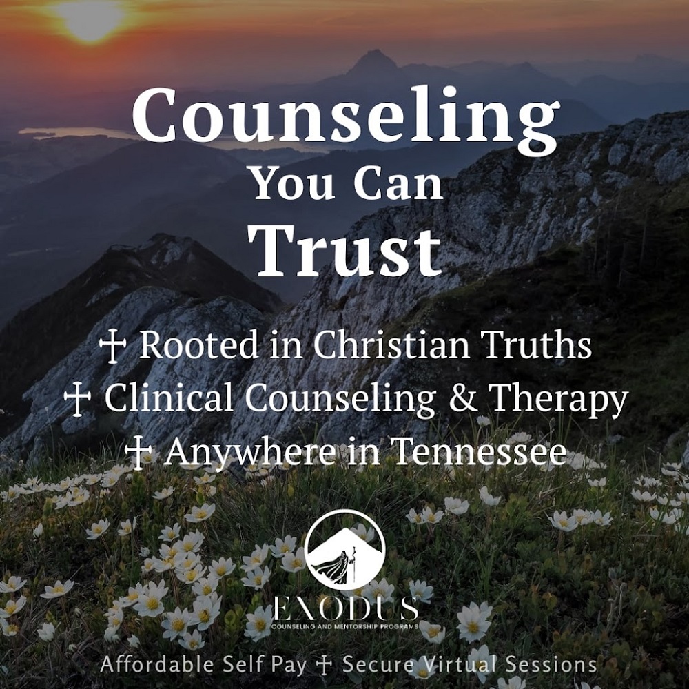 Exodus Counseling and Mentorship