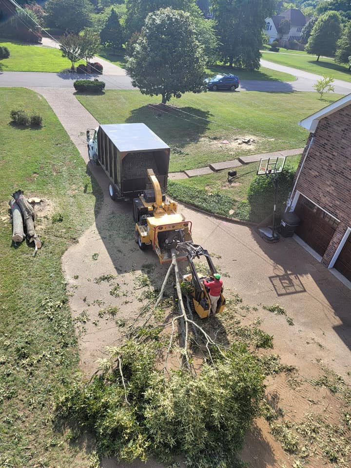Gomez Tree Service