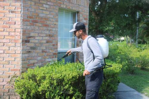 Skyterra Lawn & Pest