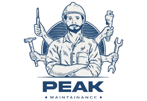 PEAK PERFORMANCE MAINTENANCE LTD
