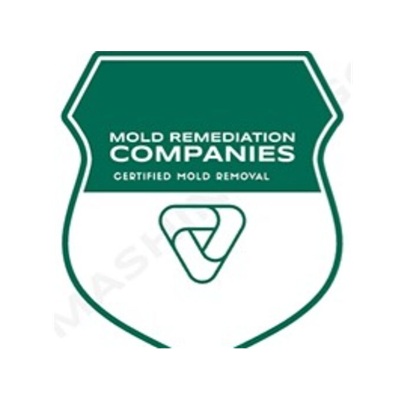 Alexandria Mold Remediation Pros