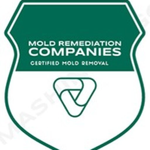 Newport News Mold Remediation Pros