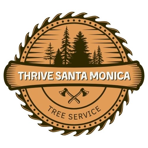Thrive Santa Monica Tree Service