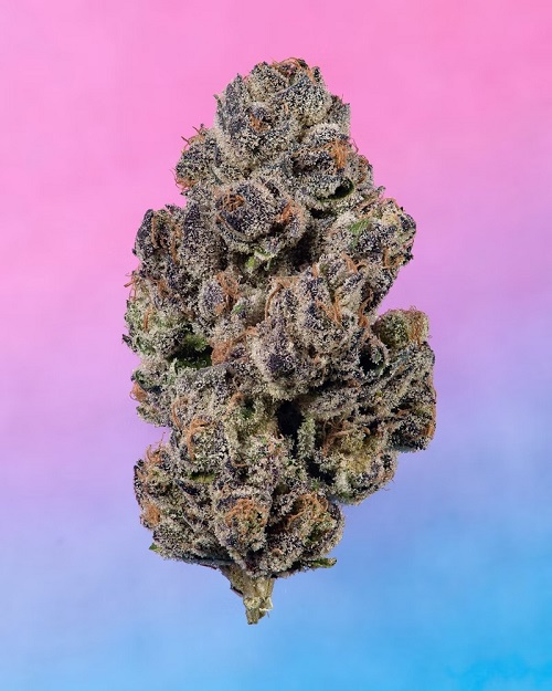 Vibez Dispensary