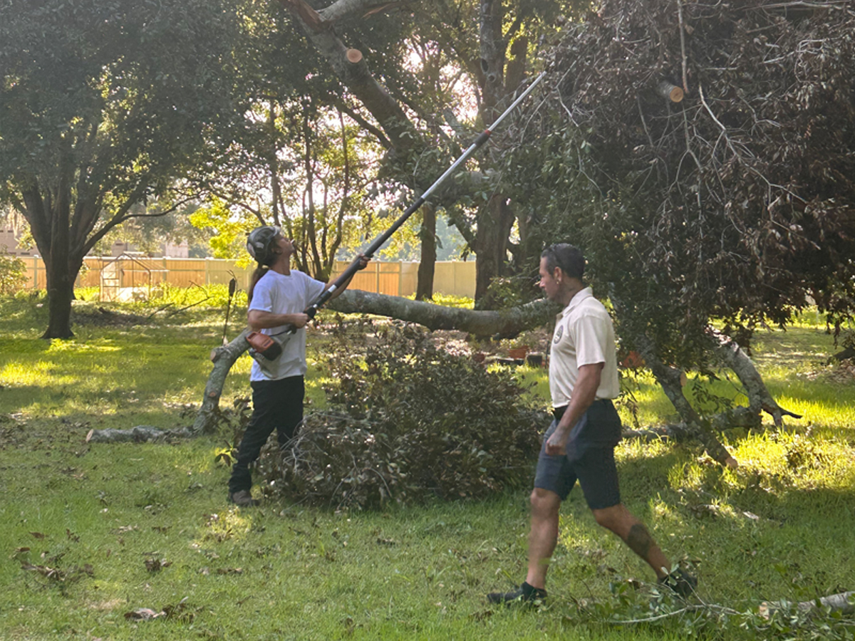 Atlantic Coast Tree Care, LLC