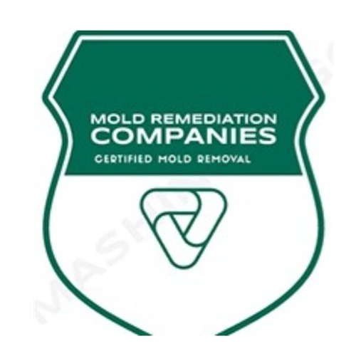 Mableton Mold Remediation Pros