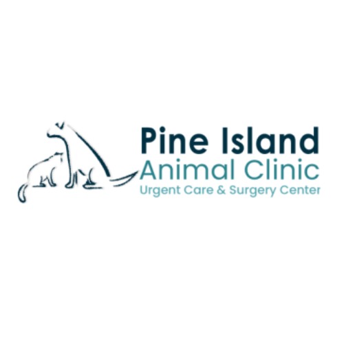 Pine Island Animal Clinic, Urgent Care & Surgery Center