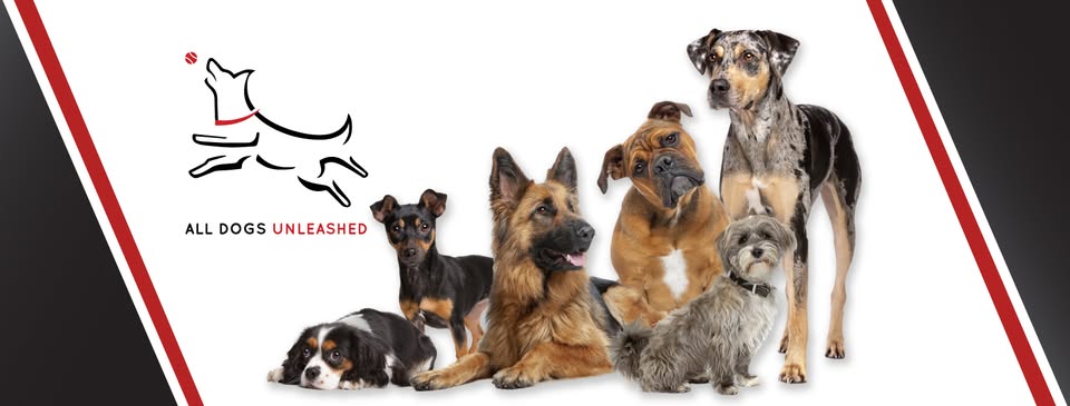 All Dogs Unleashed