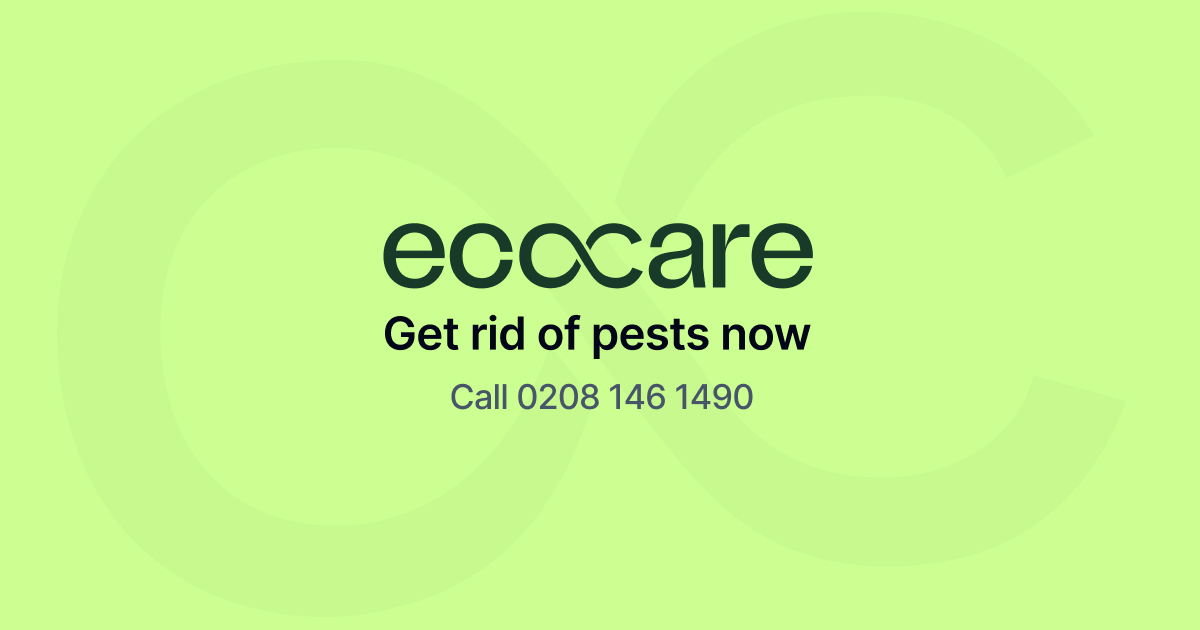 EcoCare Pest Management