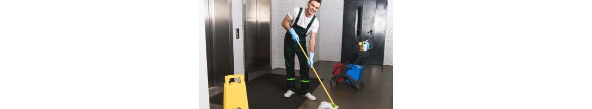 Brandywine Maintenance Commercial Cleaning & Janitorial Co