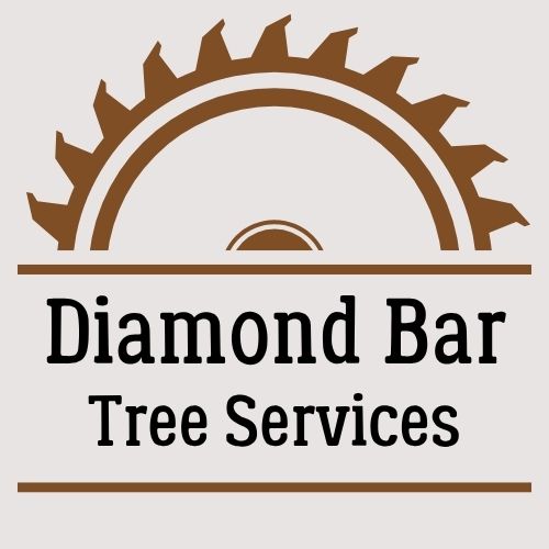 RockPack Diamond Bar Tree Services